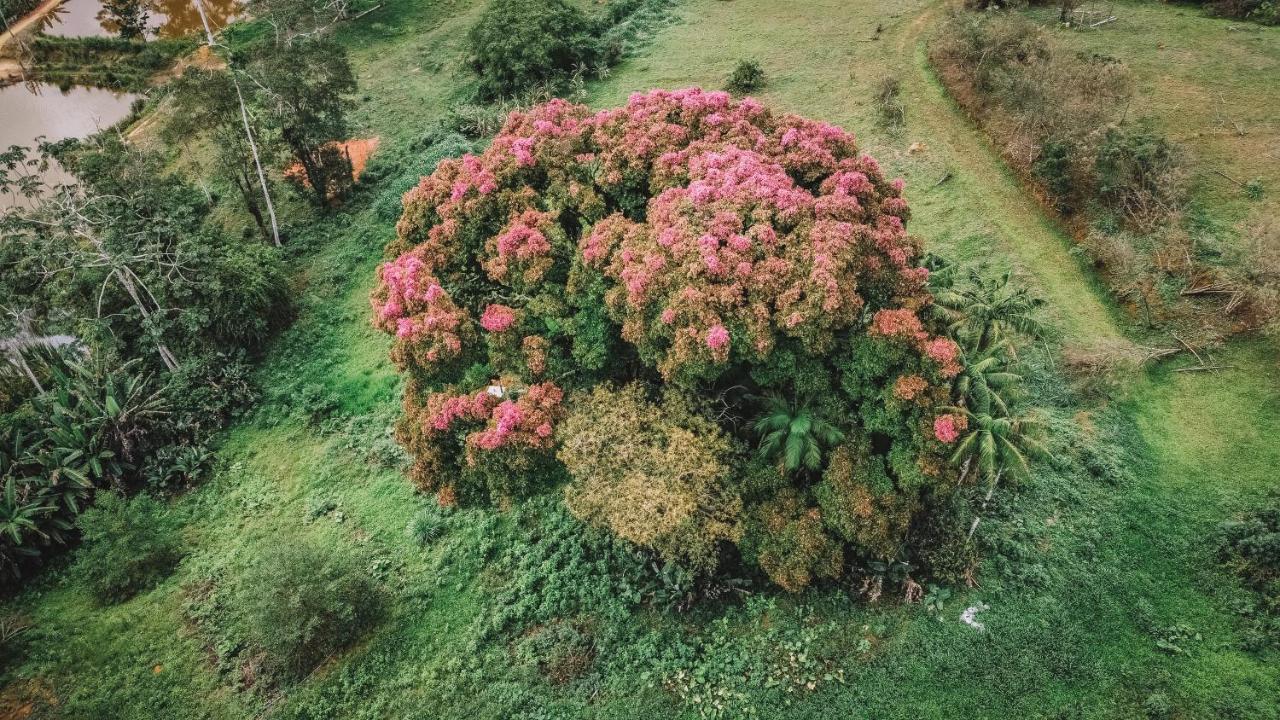 Sitio Ancestrale - Melhor Lugar De Santa Teresa-Es Villa Santa Teresa  Esterno foto