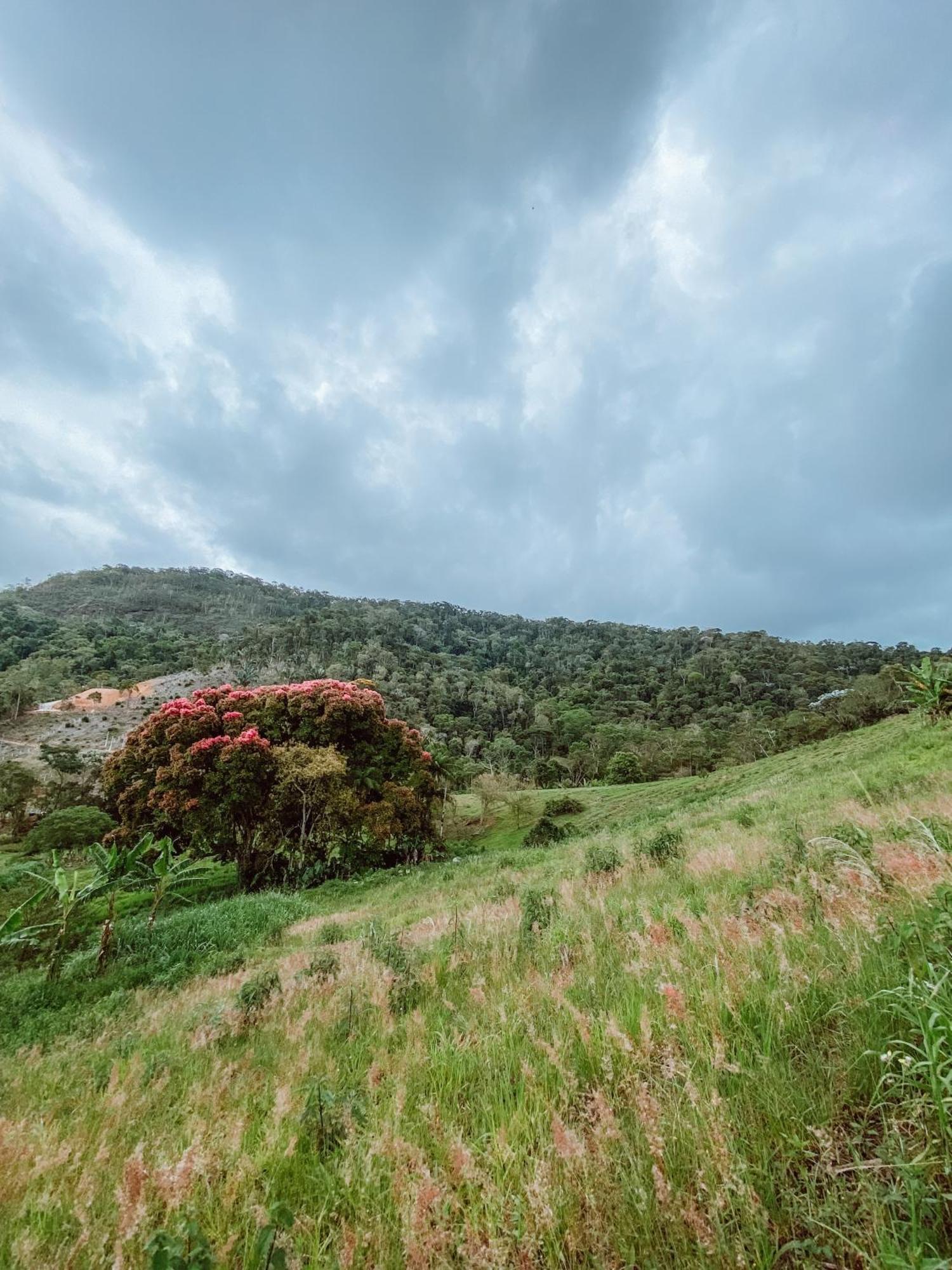 Sitio Ancestrale - Melhor Lugar De Santa Teresa-Es Villa Santa Teresa  Esterno foto